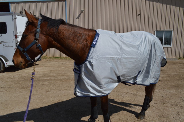 Jesse hasn't quite gotten his model pose down...but he still looks dashing in his Power Turnout! Photo by Sally Spickard. 