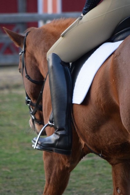 Even though other boots have gotten the job done, I experienced one of those 'you don't know what you are missing until you try it' moments when I spent time riding in the Cadence boots. Photo by Lorraine Peachey.