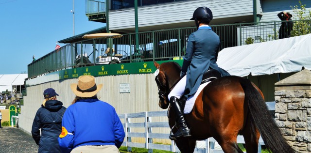 Down the chute! Photo by Sally Spickard.