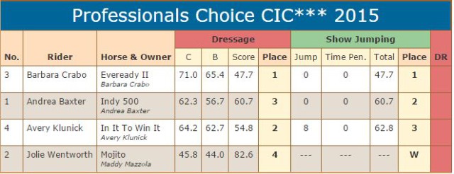 CIC 3 star scores SJ