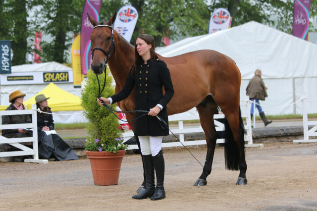 Caroline Martin and Quantum Solace pass the Final Horse Inspection at Bramham CCI3*. Photo by Samantha Clark.