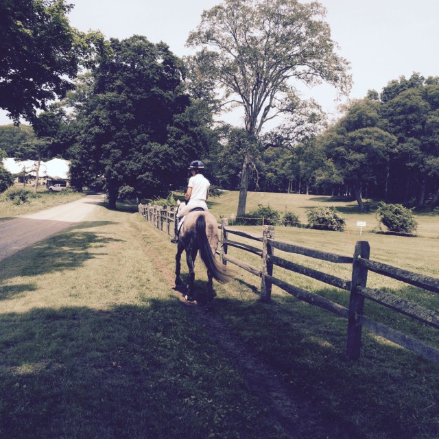 Headed to show jumping before cross country.