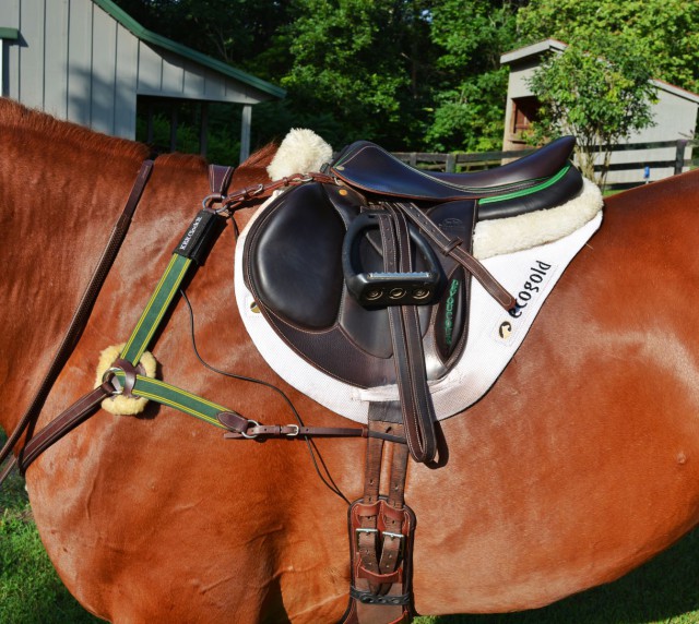 The KER ClockIt system is easy to apply to your horse and seamlessly fits into your tack without being obtrusive. Photo by Kate Samuels. 