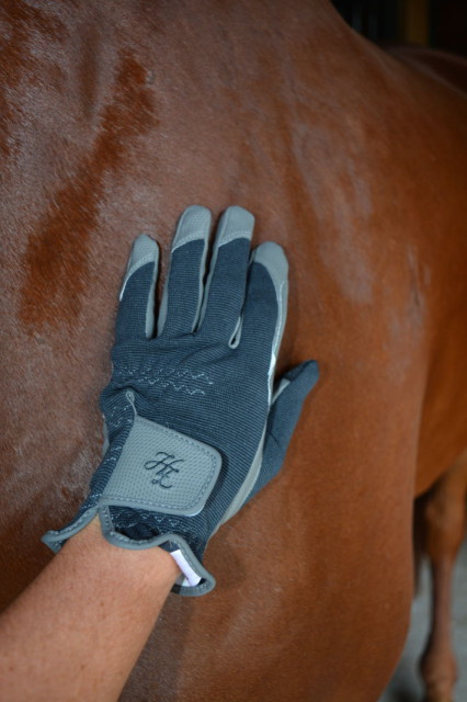 Horze Shona Touch-Screen Riding Gloves are very durable, and very practical. Photo by Kate Samuels. 