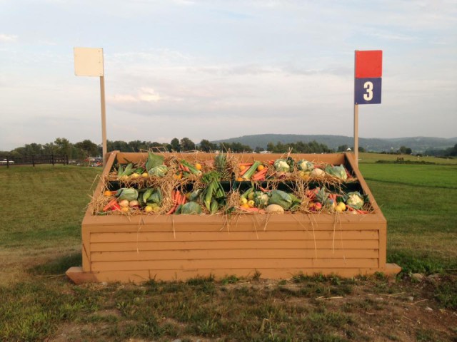 Fence 3. Photo by Madeline Backus.