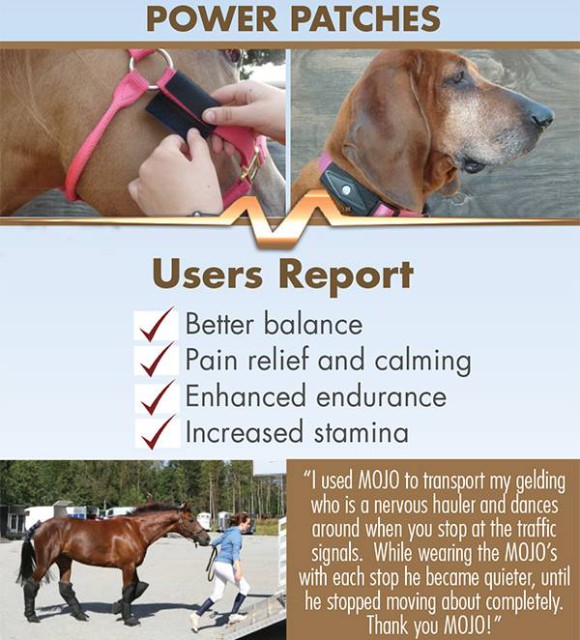 Product Review MOJO Holographic Wristband Eventing Nation ThreeDay Eventing News, Results