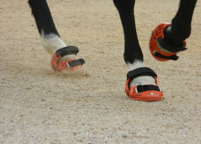 We may start seeing more protective hoof boots at events. Photo courtesy of Renegade Hoof Boots.