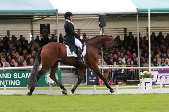 Colleen Rutledge and Covert Rights on their way to a top 25 score in the dressage at Land Rover Burghley Horse Trials Photo by Samantha Clark