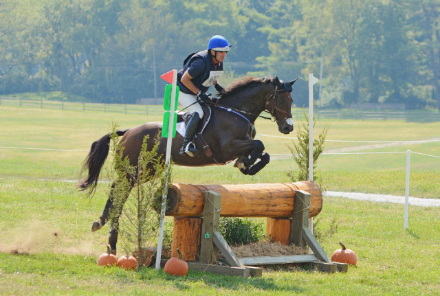 2014 America’s Most Wanted Thoroughbred Contest winner Icabad Crane has gone on to a successful eventing career, first with Phillip Dutton and currently with his daughter Olivia. Photo by Jenni Autry.