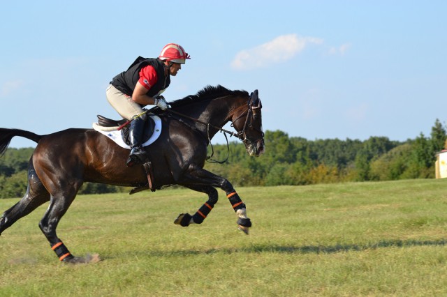 Buck Davidson and Wundermaske. Photo by Leslie Wylie.