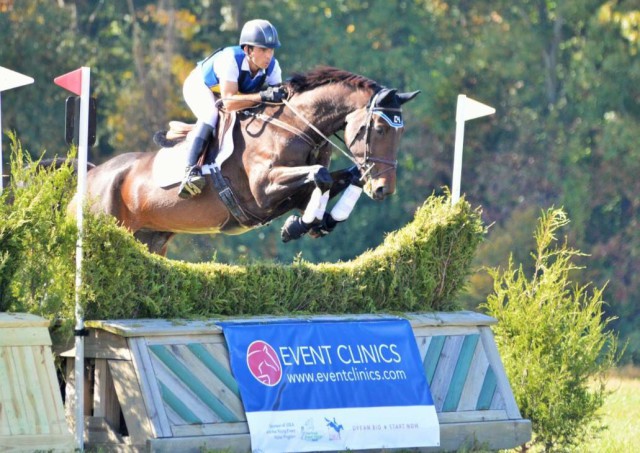 Dom Schramm and Ingvill Ramberg's WL Darco's Galliano jump the Event Clinics brush during the YEH 5-year-old Championships at Fair Hill. Photo by Sally Spickard