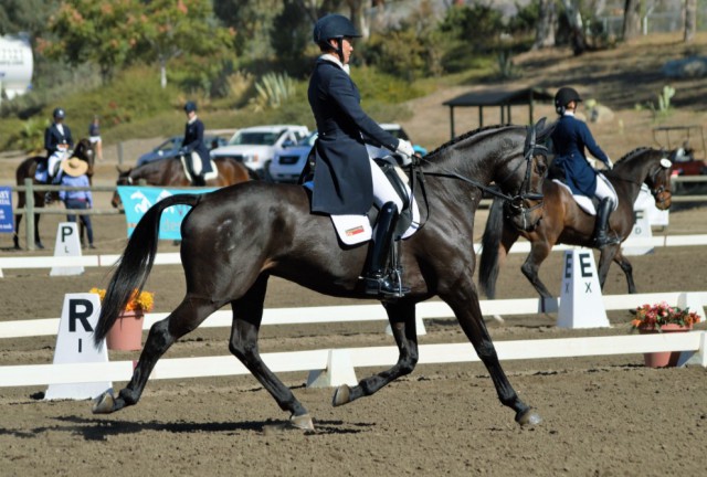 Tamie Smith and Chatwin. Photo by Sally Spickard.