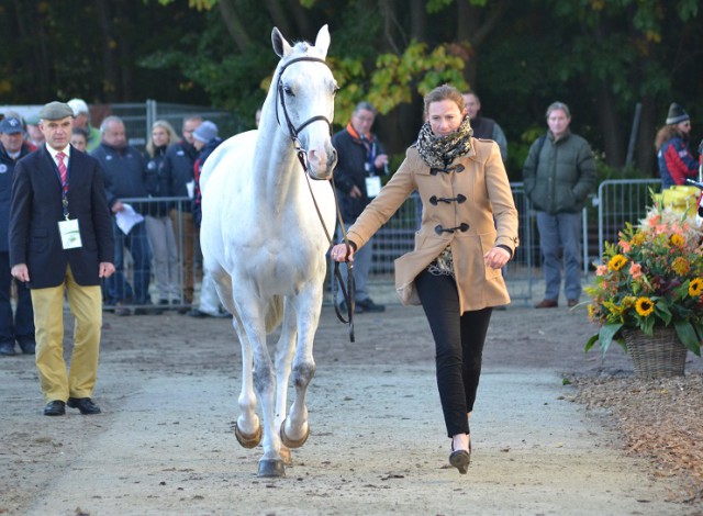 Top-placed American Lauren Kieffer and Landmark's Monte Carlo. Photo by Leslie Wylie.