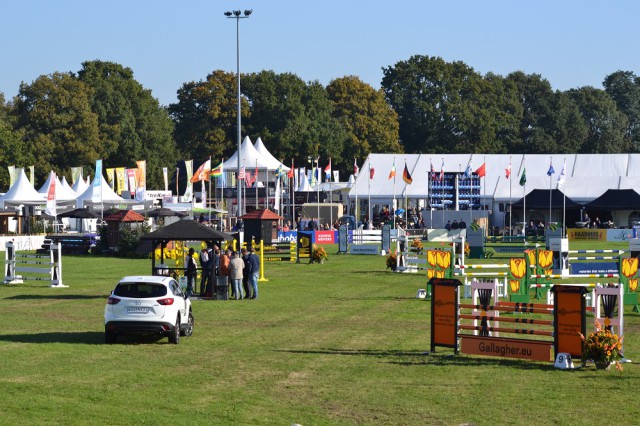 The show jumping stage is set. Photo by Leslie Wylie. 