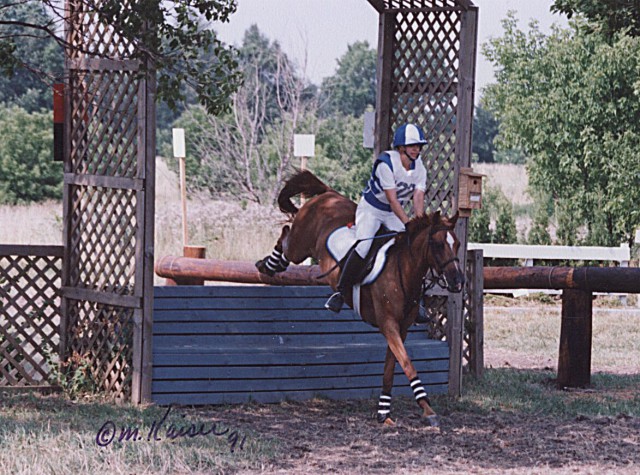 Wayne DuPage June H.T. (1991): Training level. Photo by Margaret Kaiser.