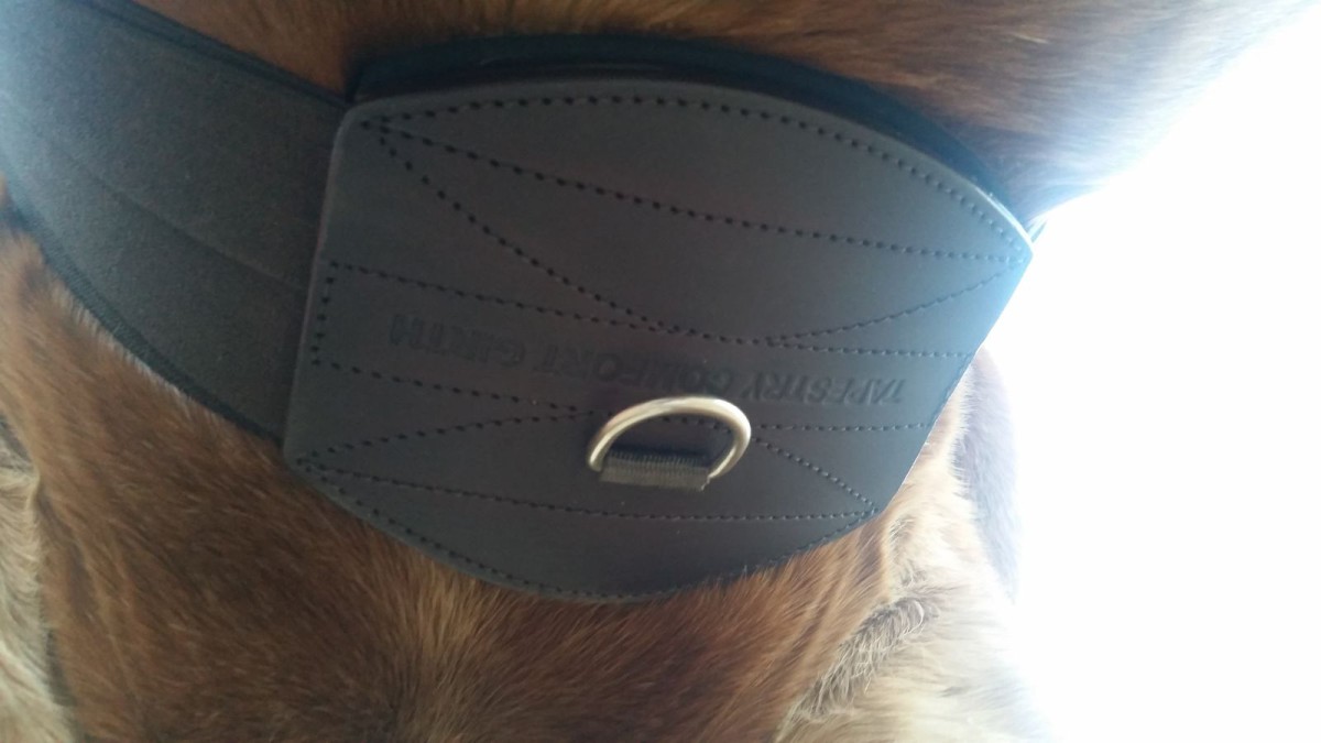 Product Review Tapestry Comfort Girth Eventing Nation ThreeDay