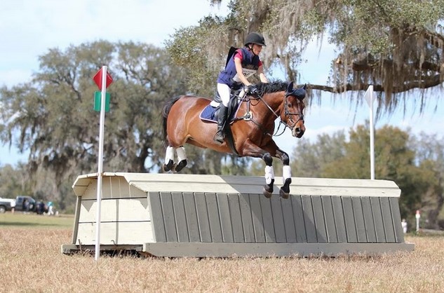 EN’s Got Talent: Jennifer Gallas and E’Lupicor | Eventing Nation ...