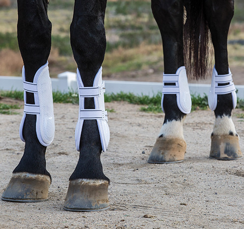 white horse boots