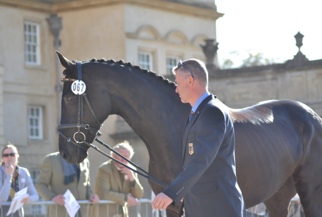 Andreas Dibowski (GER) and FRH Butts Avedon at Badminton in 2016. Photo by Leslie Wylie. 