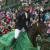 Photo Gallery Bestweekendallyear Show Jumping Finale Eventing Photo Gallery Bestweekendallyear Show Jumping Finale Eventing