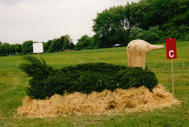 Just straw outlines this groundline but it makes quite an impression! Jersey Fresh. Photo by Holly.