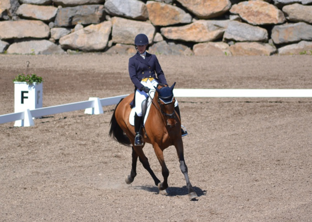 Allison Springer and Athlone Antone in the Bromont CCI2*, where they finished fourth. Photo by Leslie Wylie. 