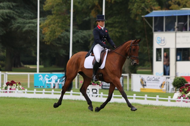 Pippa Funnell and Billy Cuckoo. Photo by Samantha Clark.