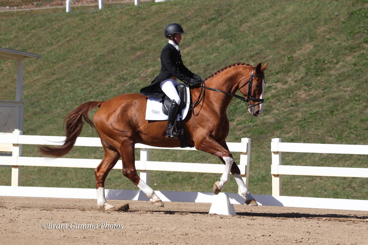 Talent Spotted! Meet Cornelia Dorr of the 2017 USEF Eventing 25 List