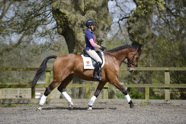 Mary King has exciting plans for the remainder of the year after campaigning her youngsters in 2016. Photo by Bob Atkins.