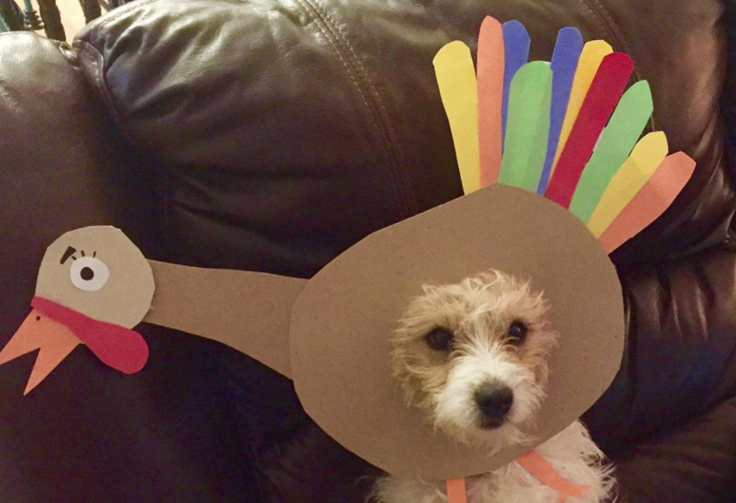 Vote for the Winner of EN’s Thanksgiving Top Dog Contest! Presented by