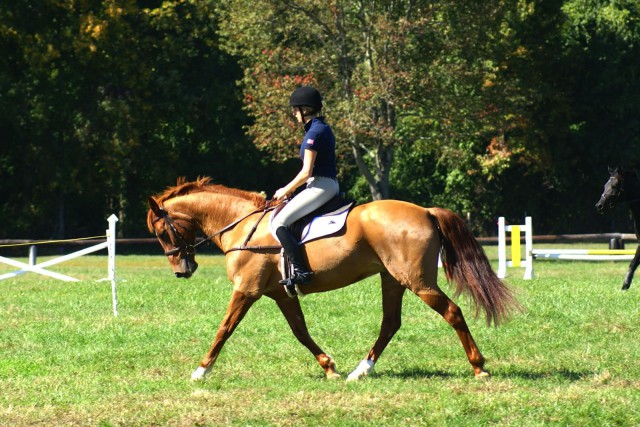 Forever blessed that I got to show this orange munchkin around New Jersey. Taught me how to love competing again. Photo courtesy of Maude Greisman.