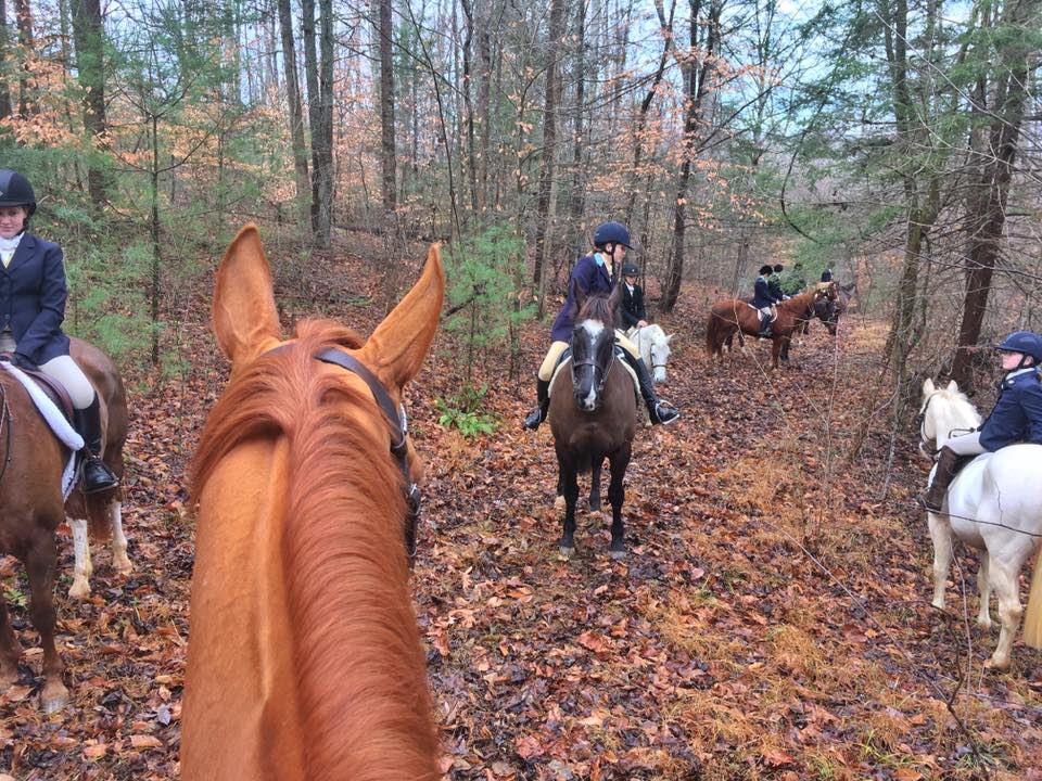 Wednesday News & Notes from Attwood Equestrian Services Eventing