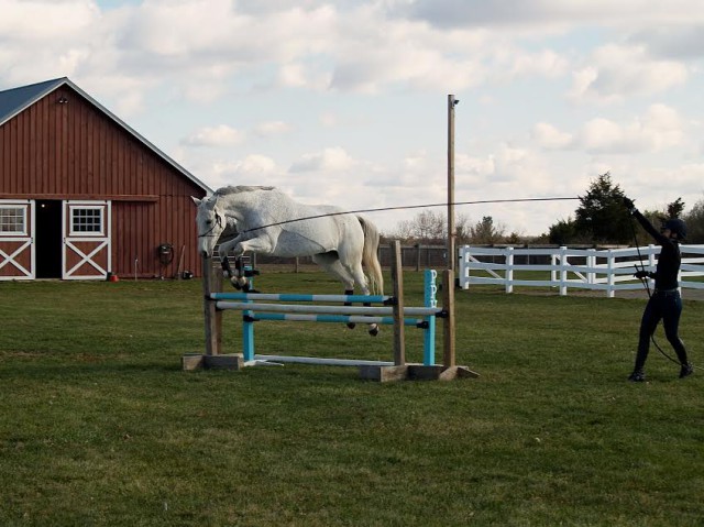 Charity Paashaus works with Roulette on the ground. Photo by Josh Paashaus. 