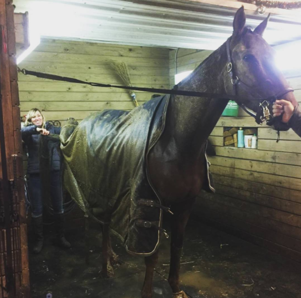 When the baby horse gives the trainer the gift of being a pig pen for Christmas. Photo by Bryn Byer.
