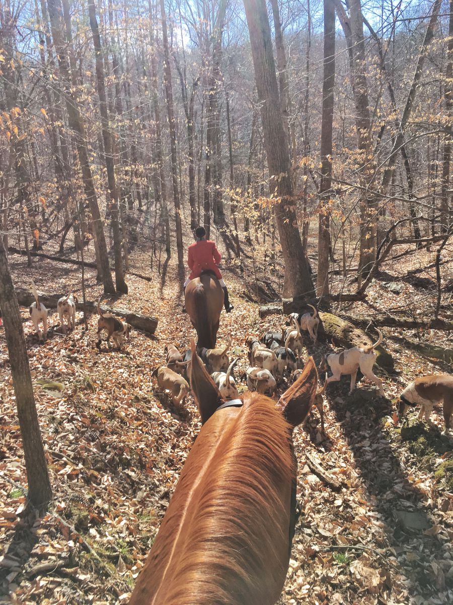 Friday News & Notes from Kentucky Equine Research Eventing Nation