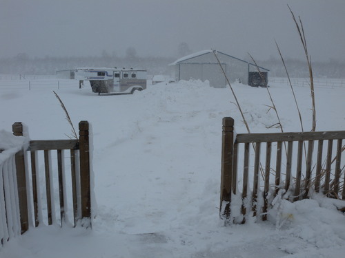 snowbarnblizzard.jpg