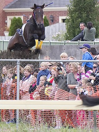 665898-warrnambool-banna-strand-horse-crowd.jpg