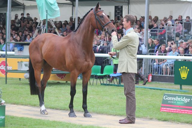 william and parklane hawk.jpg