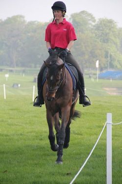 IMG_3236.jpg