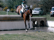 fernhill-clover-mist1.jpg