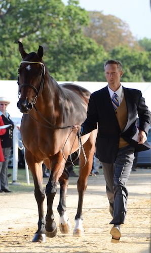 clark trot up edit.jpg