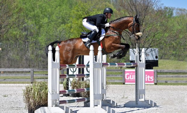 Buck Davidson and Carlevo. Photo by Liz Crawley.