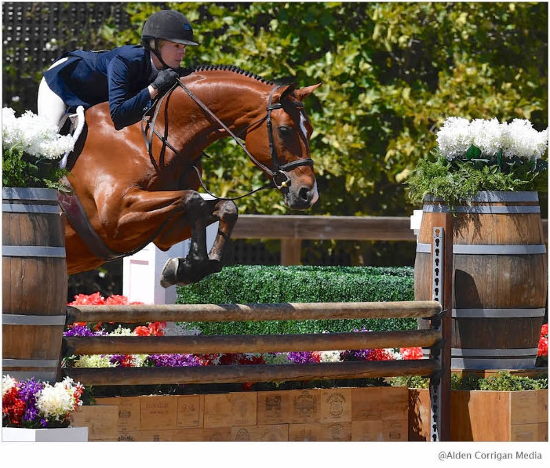 Best of JN Sonoma Horse Park Waives Fees for Young Horse Divisions