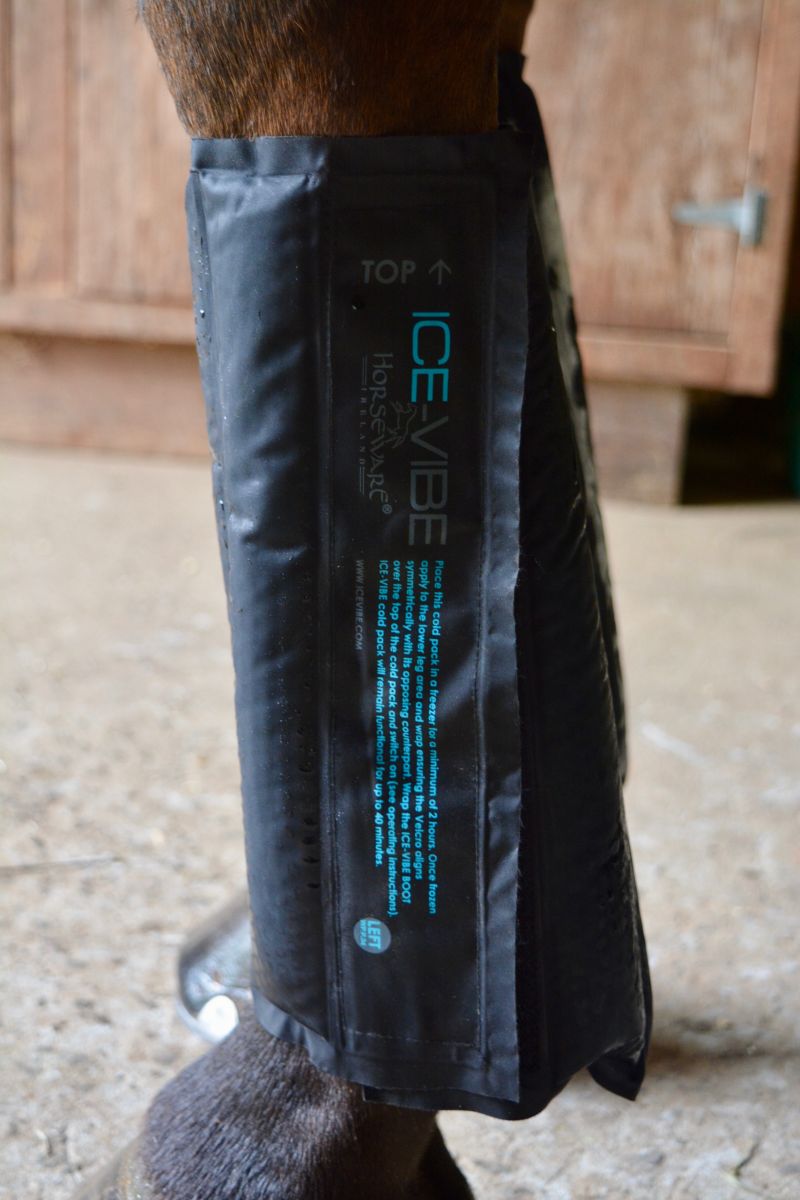 Product Review Ice Vibe Boots from Horseware Ireland Eventing Nation