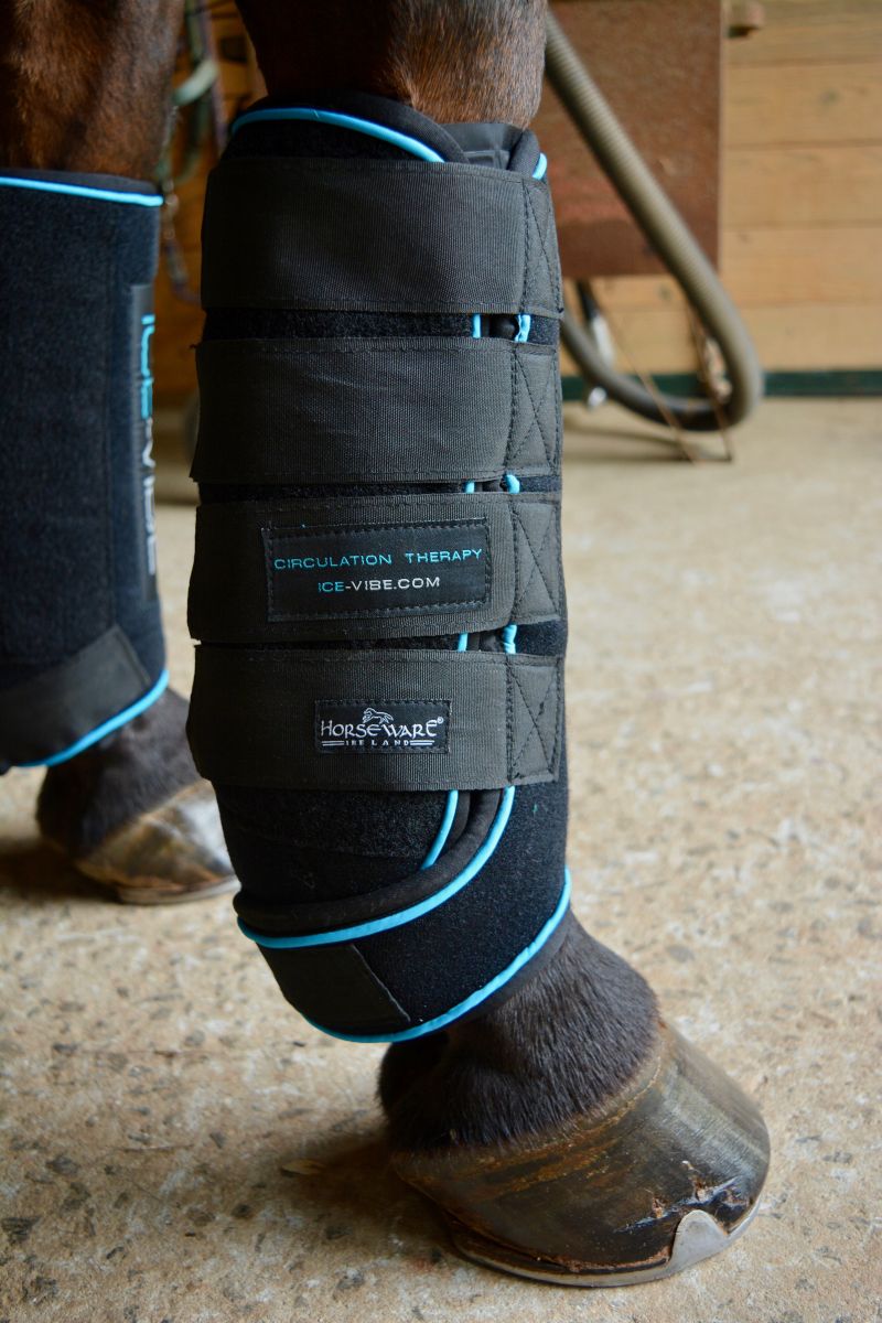 Product Review Ice Vibe Boots from Horseware Ireland Eventing Nation