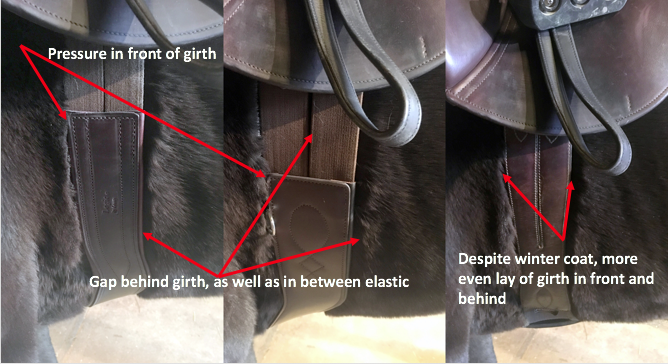 Eventing Girth Does a Girth Really Affect Saddle Fit and Stability? | Eventing Nation ...