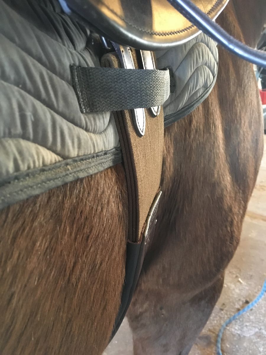 Does a Girth Really Affect Saddle Fit and Stability? Eventing Nation