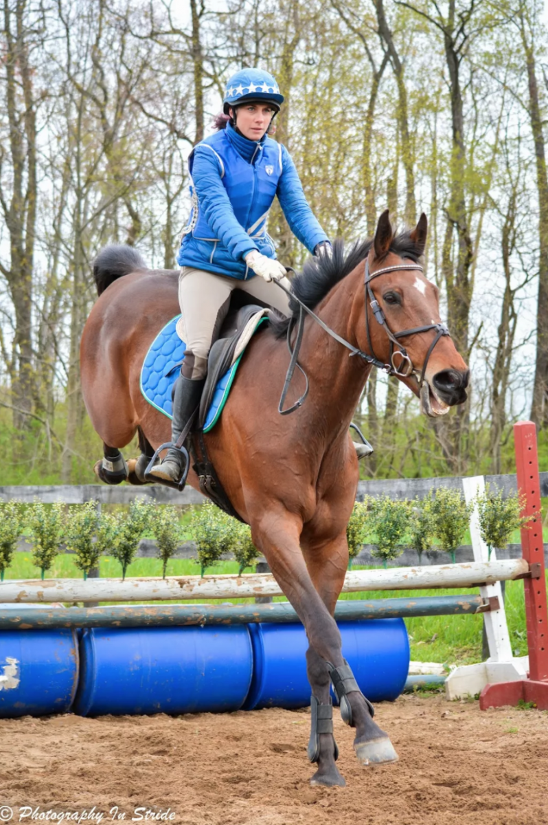 Hoover miranda homework picture