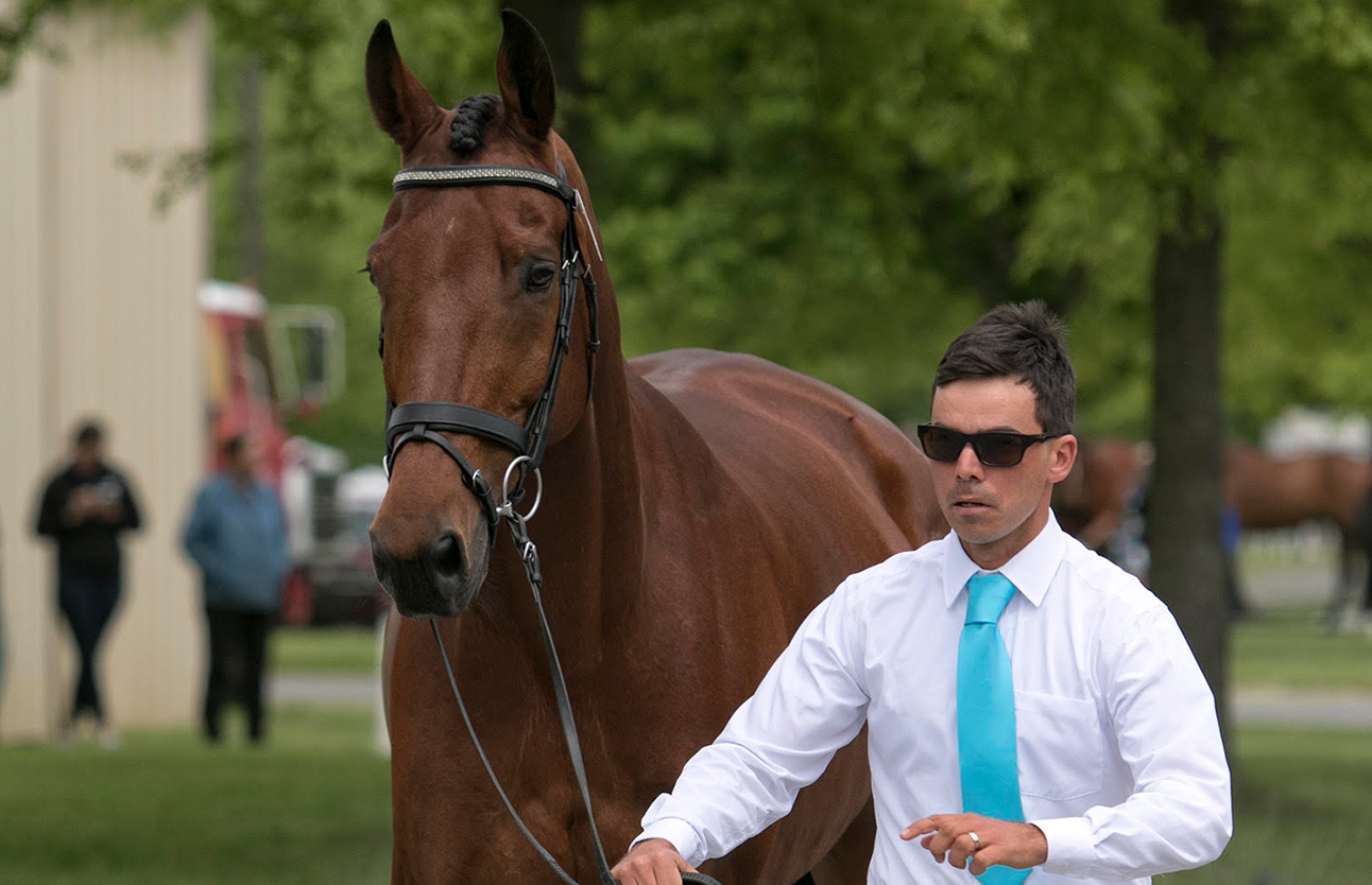 Jersey Fresh Jog Report 32 Horses Move to Dressage, Two Not Accepted