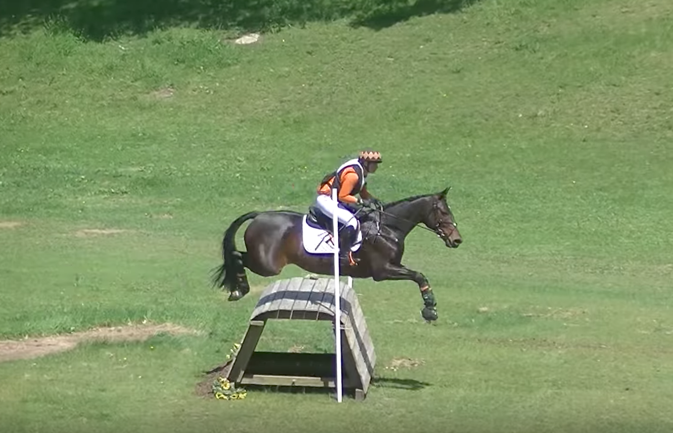 Tuesday Video from SpectraVET Daryl Kinney & Cabin Society at Hitching